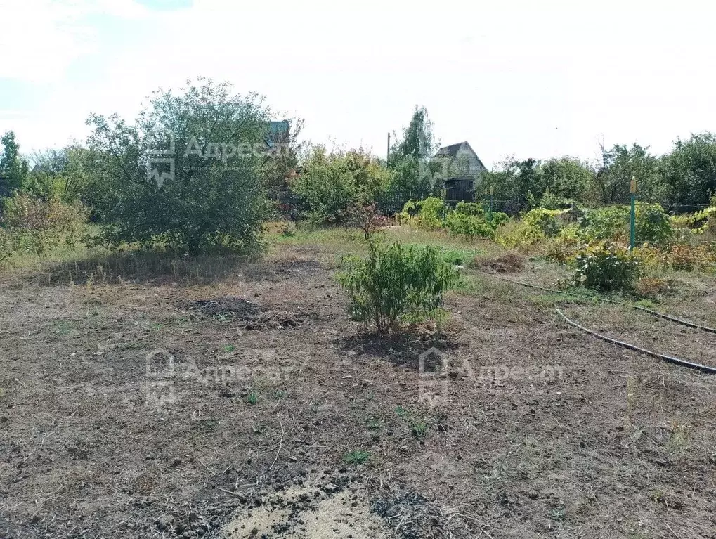 Участок в Волгоградская область, Волгоград Лесник-2 СНТ,  (6.0 сот.) - Фото 1