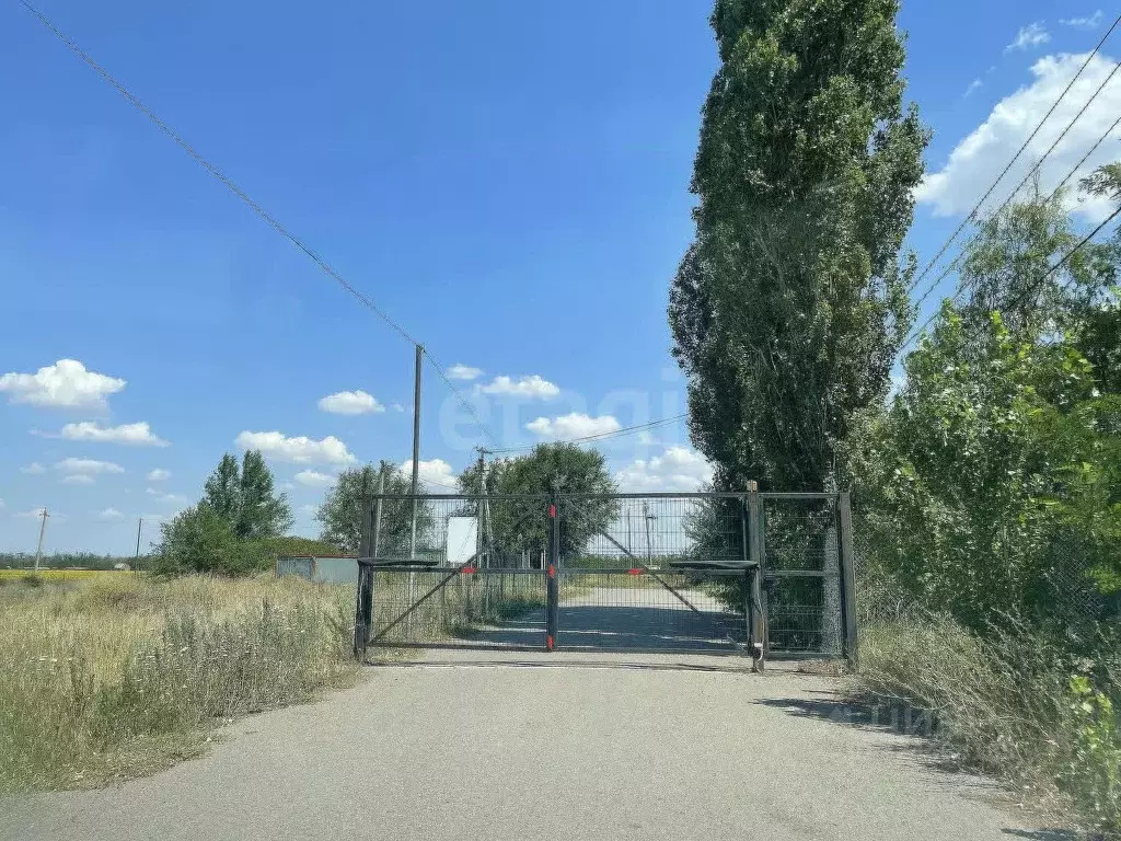 Участок в Ростовская область, Азовский район, Задонское с/пос, Ельбузд ... - Фото 1