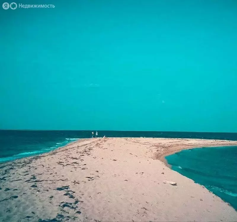 Участок в Черноморский район, Оленевское сельское поселение, село ... - Фото 2