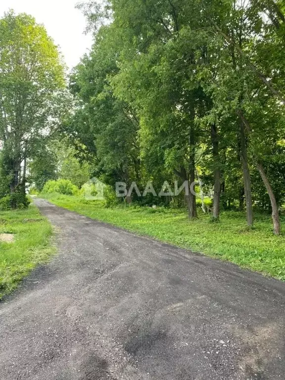 Участок в Владимирская область, Гороховецкий район, Денисовское ... - Фото 0