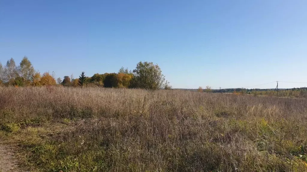 Участок в Московская область, Сергиево-Посадский городской округ, д. ... - Фото 0