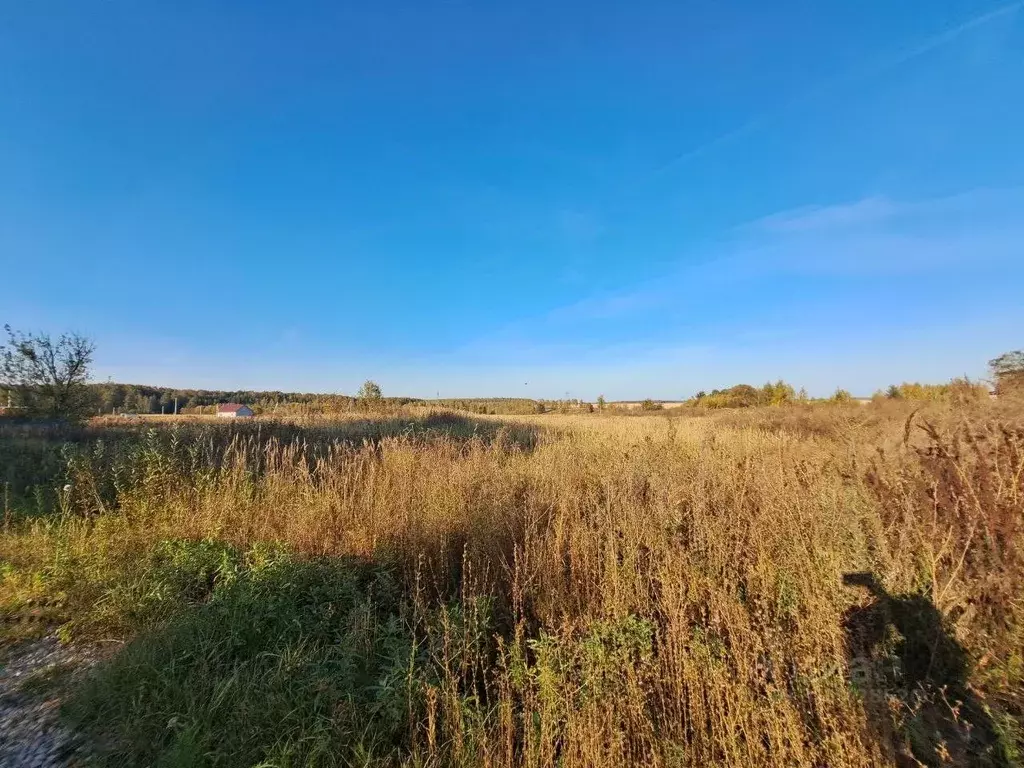 Участок в Московская область, Кашира городской округ, д. Никулино  ... - Фото 1