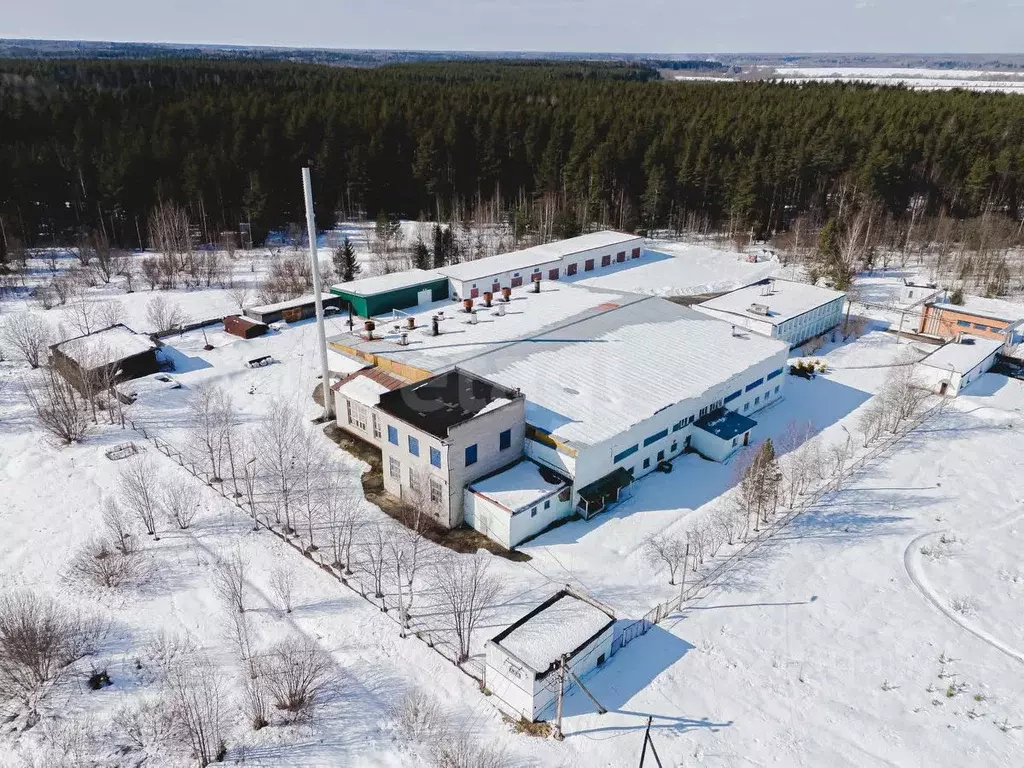 Склад в Ярославская область, Любим ул. Смирнова, 10 (5181 м) - Фото 1