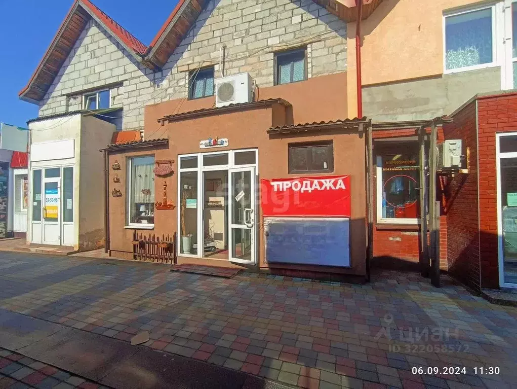 Помещение свободного назначения в Калининградская область, Светлый ул. ... - Фото 1