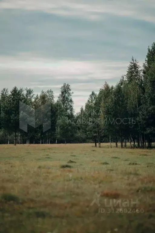 Участок в Тюменская область, Нижнетавдинский район, д. Московка  (14.0 ... - Фото 0