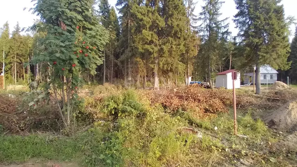 Участок в Коми, Сыктывкар городской округ, Краснозатонский пгт ул. ... - Фото 0