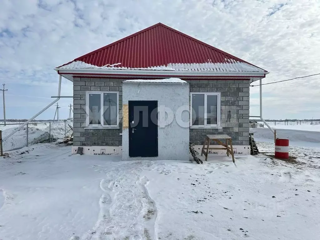 Дом в Новосибирская область, Коченевский район, пос. Речник Новая ул. ... - Фото 1