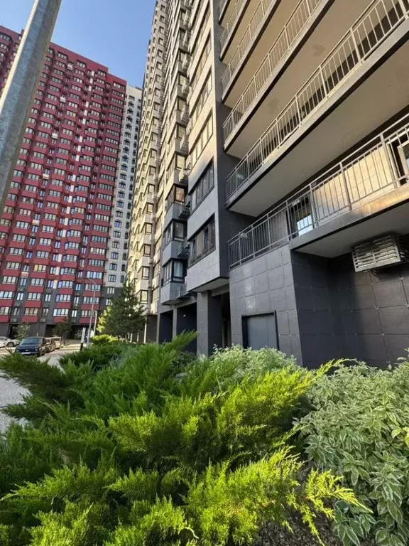 2-к кв. Ростовская область, Ростов-на-Дону просп. Соколова, 68/118Вс2 ... - Фото 0