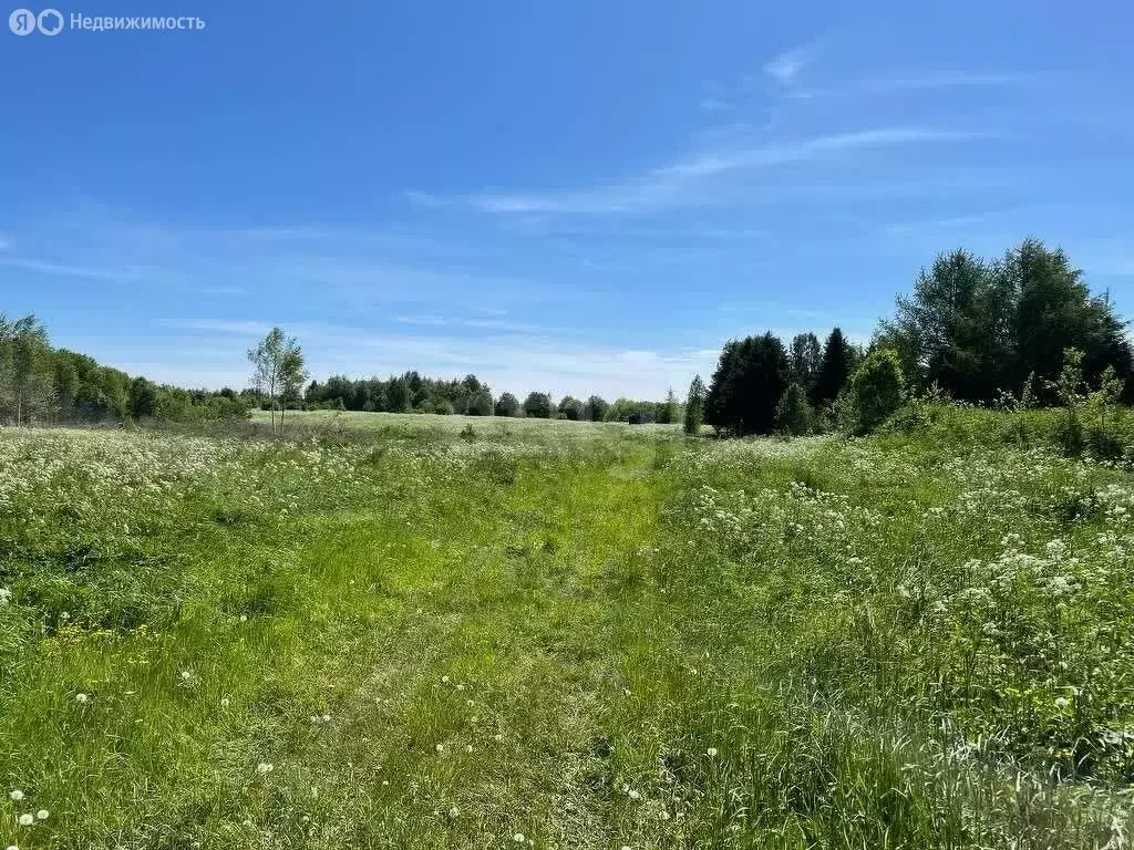 Участок в Череповецкий район, муниципальное образование Воскресенское, ... - Фото 0