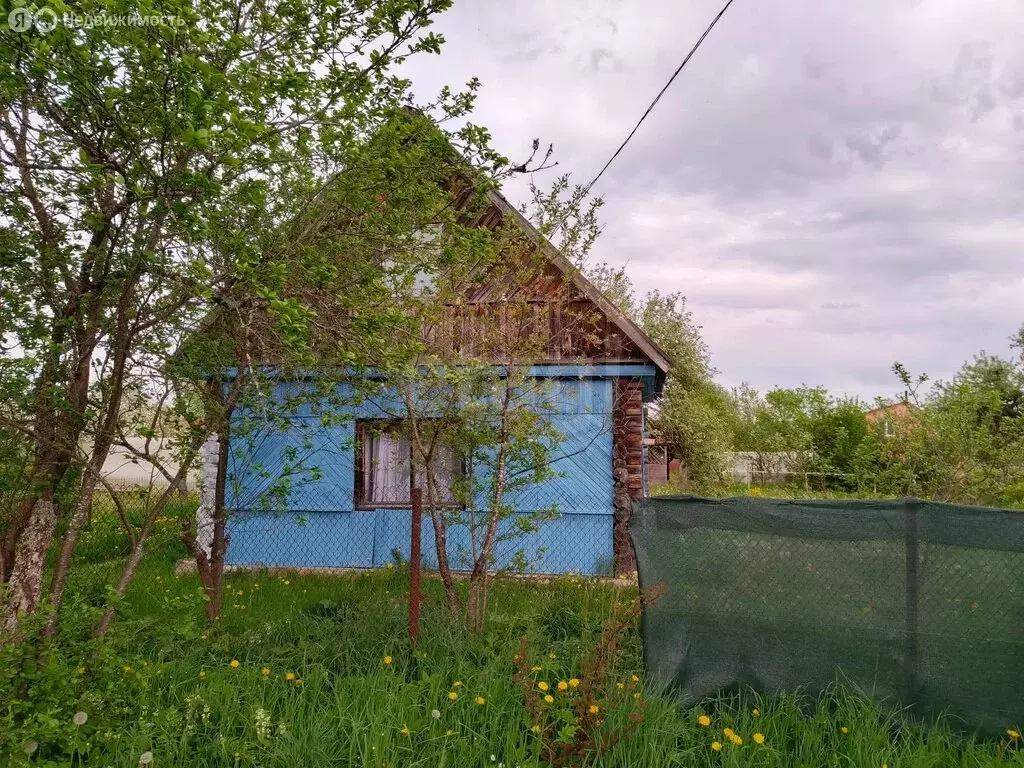 Дом в Псковская область, Островский муниципальный округ, Бережанская ... - Фото 1