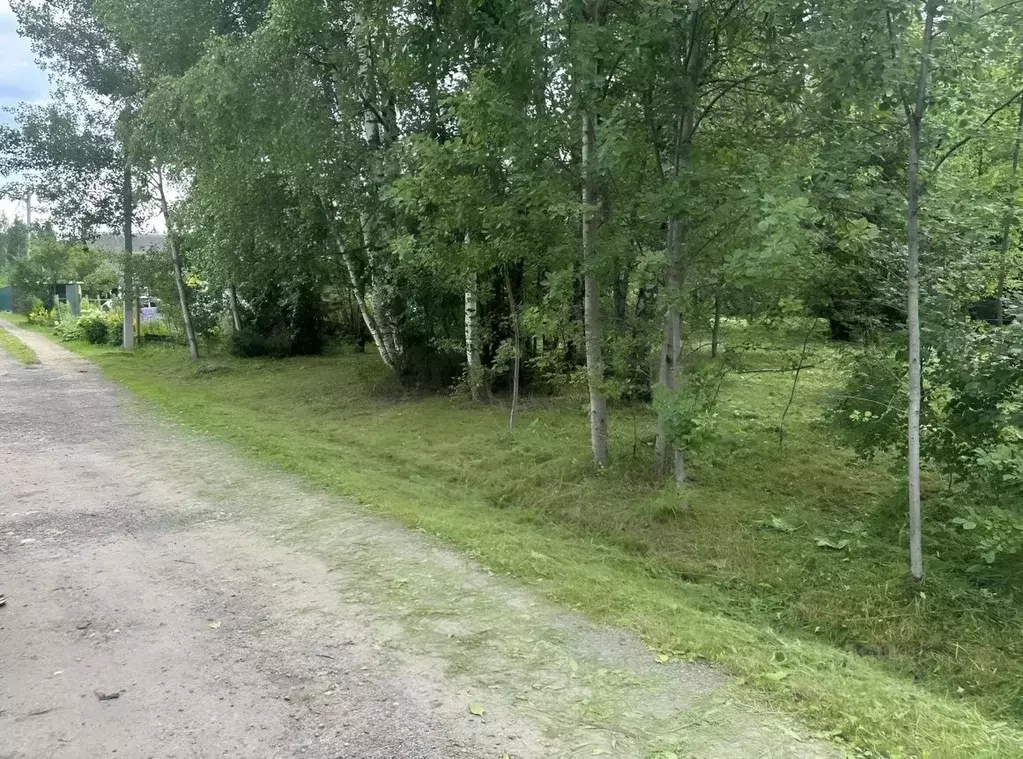 Участок в Московская область, Клин городской округ, Родничок-1 садовое ... - Фото 1