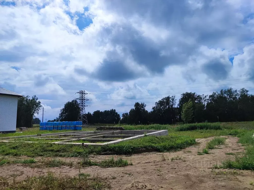 Участок в Алтайский край, Первомайский район, с. Фирсово ул. Антонины ... - Фото 2