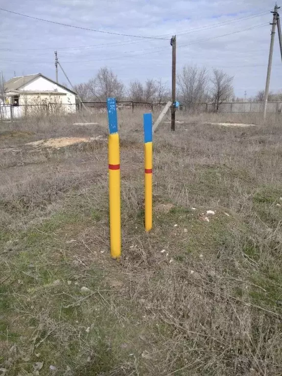 Участок в Волгоградская область, Городищенский район, Новонадеждинское ... - Фото 1