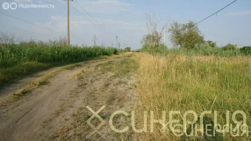Участок в хутор Дугино, Степная улица (30 м) - Фото 0