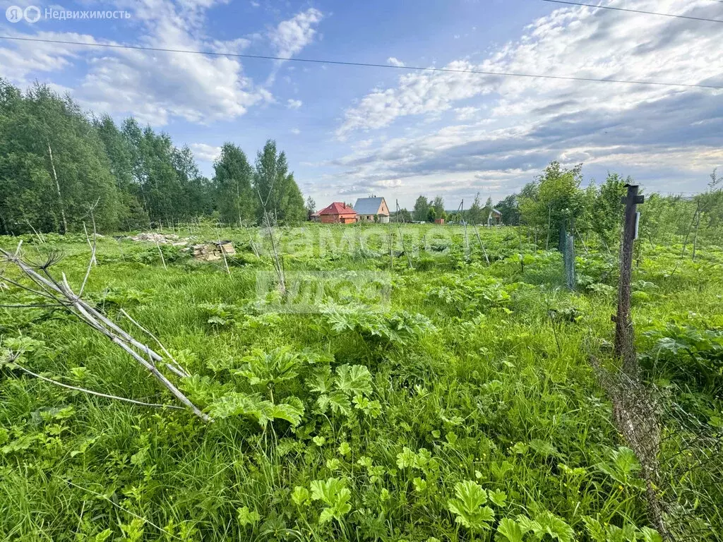Участок в Московская область, Рузский муниципальный округ, деревня ... - Фото 1