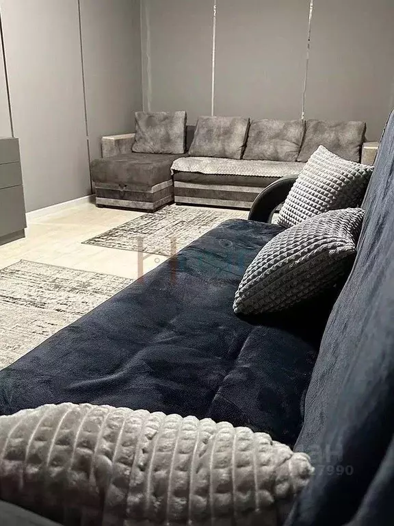 2-к кв. Новосибирская область, Новосибирск ул. Сибиряков-Гвардейцев, ... - Фото 1