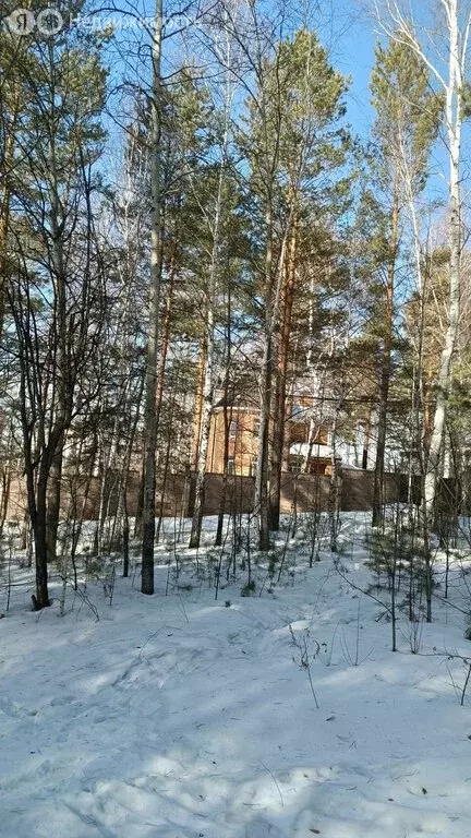 Участок в Иркутский муниципальный округ, СНТ Геолог (4 м) - Фото 2