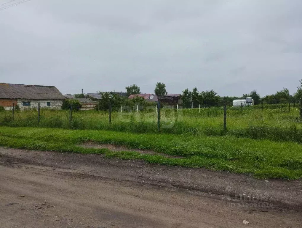 Участок в Саратовская область, Балашовский район, Хоперское ... - Фото 1