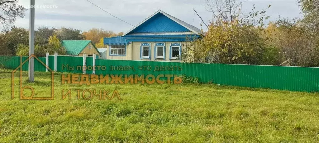 Дом в Салпарово, улица Гайсиных, 34 (45.9 м) - Фото 1