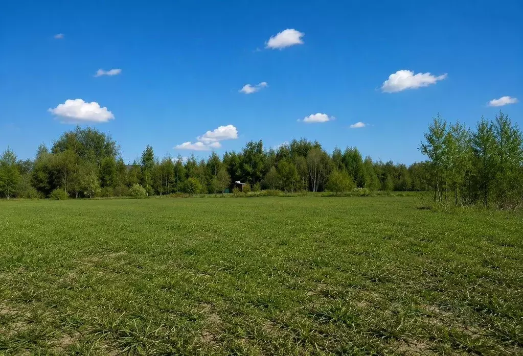 Участок в Московская область, Орехово-Зуевский городской округ, Дачная ... - Фото 1