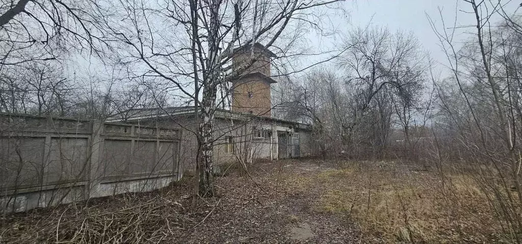Производственное помещение в Самарская область, Кинель городской ... - Фото 1
