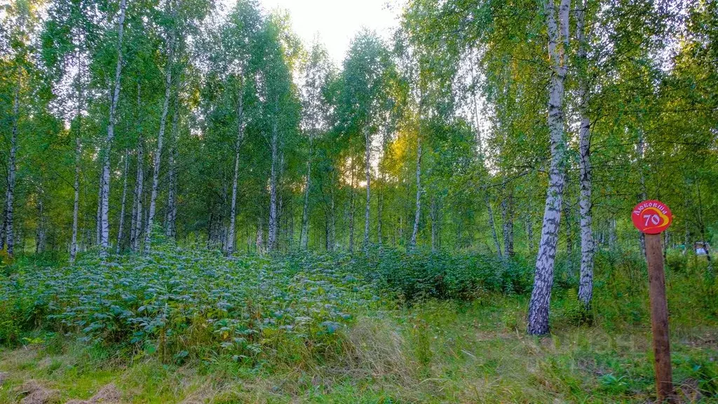 Участок в Тульская область, Заокский район, Демидовское муниципальное ... - Фото 0