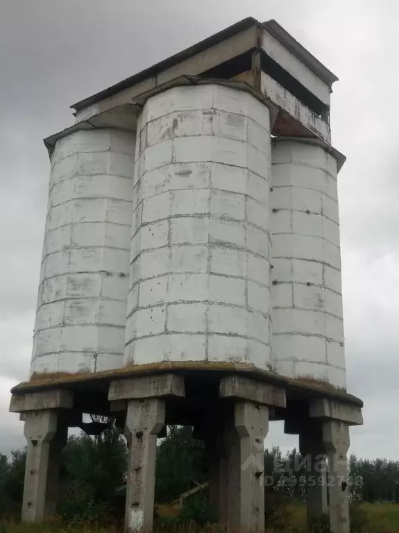 Склад в Тульская область, Веневский район, Мордвесское муниципальное ... - Фото 2