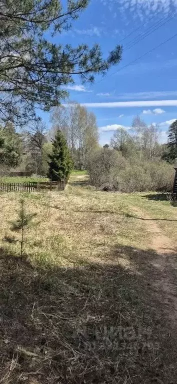 Участок в Смоленская область, Демидовский муниципальный округ, ... - Фото 1