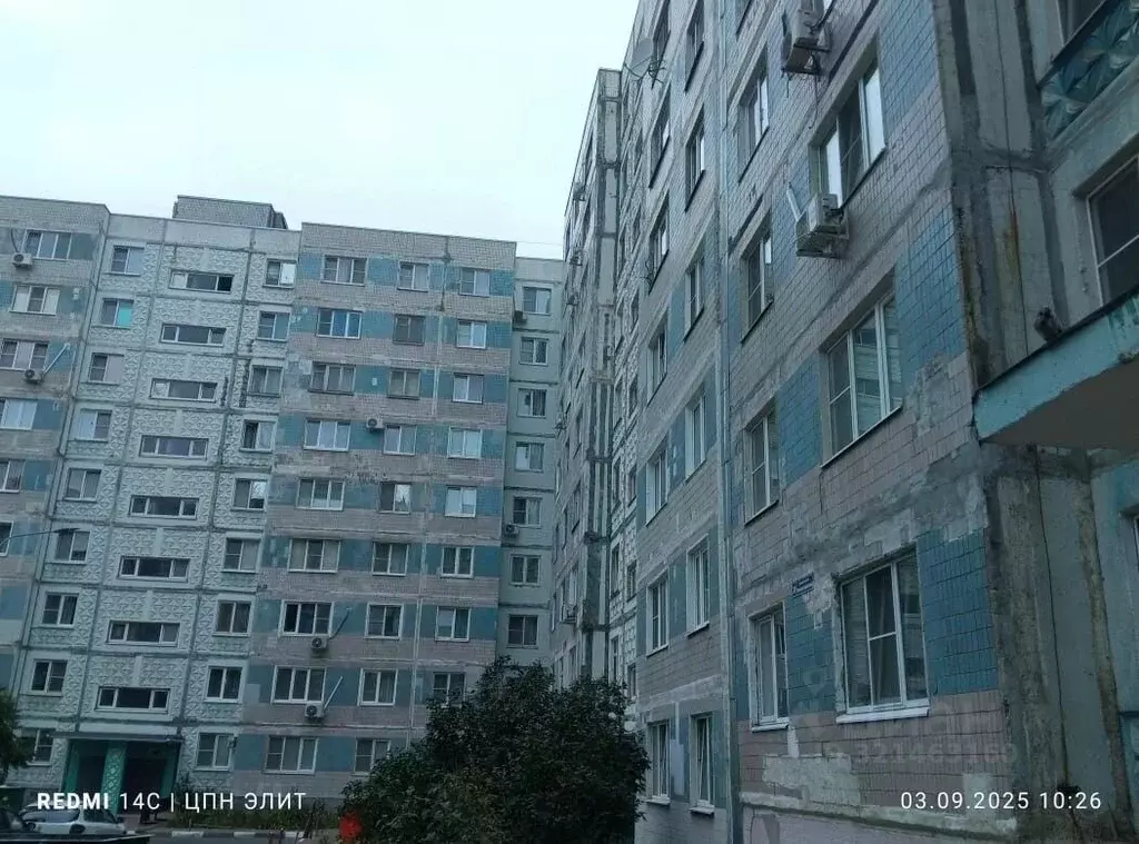 2-к кв. Белгородская область, Старый Оскол Олимпийский мкр, 31 (54.0 ... - Фото 0