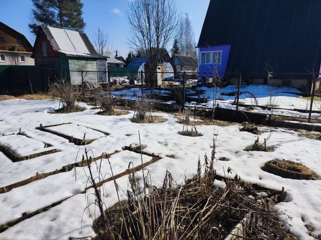 Участок в Ленинградская область, Гатчинский муниципальный округ, ... - Фото 1