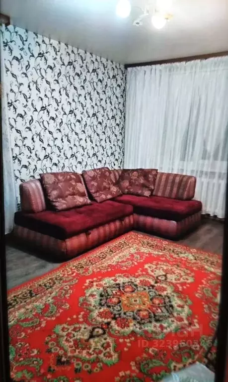 1-к кв. Оренбургская область, Оренбург ул. Родимцева, 14 (34.0 м) - Фото 1