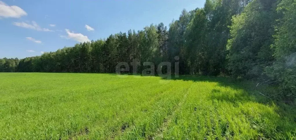 Участок в Тюменская область, Тюменский район, д. Зырянка  (20.0 сот.) - Фото 1