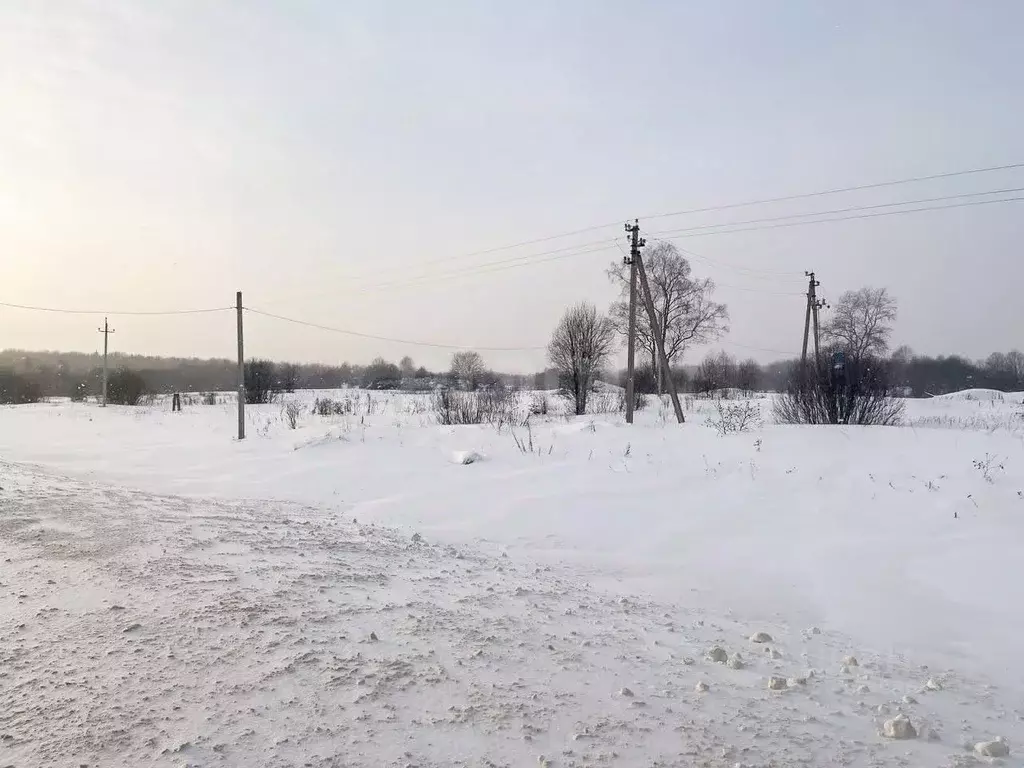 Участок в Ярославская область, Даниловский муниципальный округ, д. ... - Фото 1