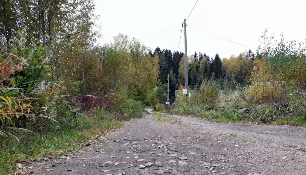 Участок в Ленинградская область, Выборгский район, Советское городское ... - Фото 0