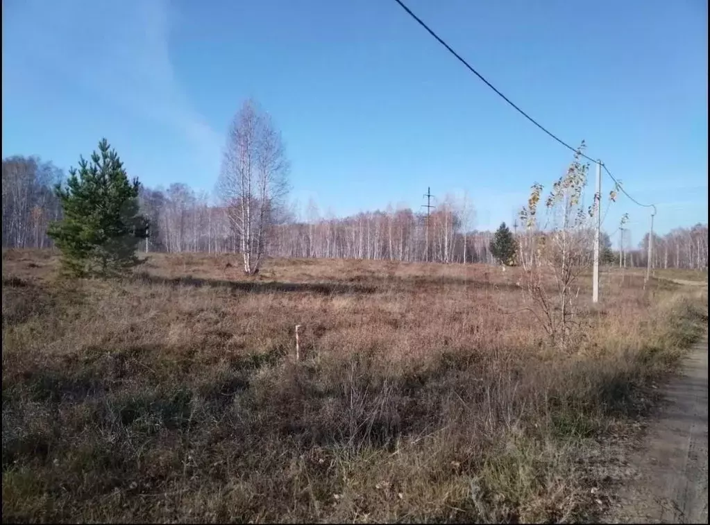 Участок в Новосибирская область, Новосибирский район, Станционный ... - Фото 1