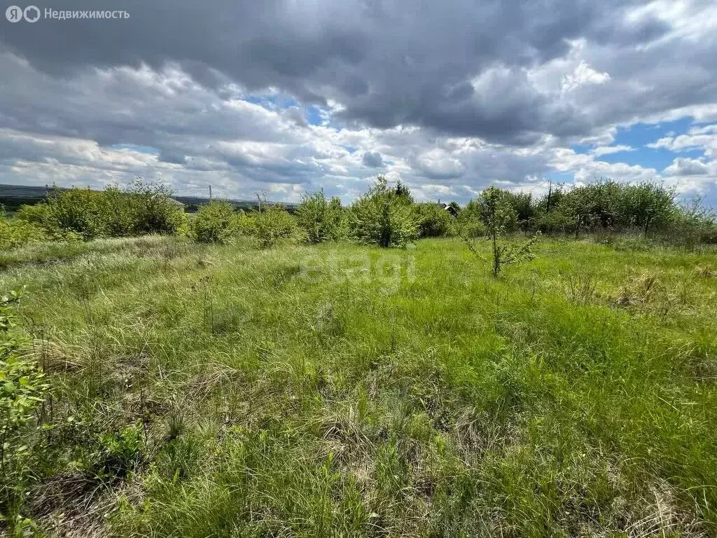 Участок в Рамонский район, село Русская Гвоздёвка, Донская улица (30.3 ... - Фото 1