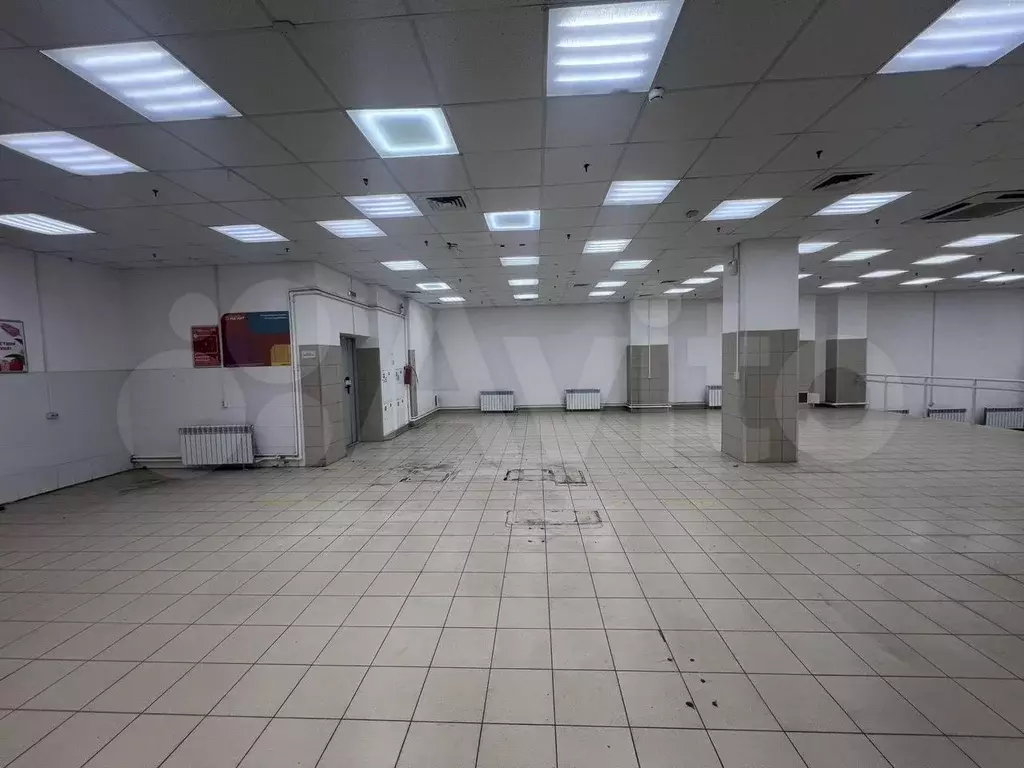 Сдается помещение в аренду, 1 линия ул.Пушкинская, 430м - Фото 1