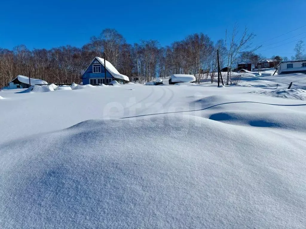 Участок в Камчатский край, Елизовский муниципальный округ, пос. ... - Фото 1