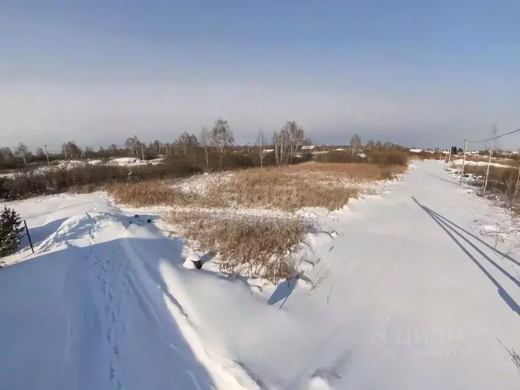 Участок в Тюменская область, Тюмень Поле Чудес садовое товарищество, ... - Фото 1