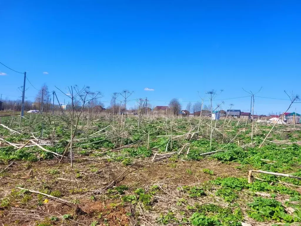 Участок в Коми, Сыктывдинский район, с. Выльгорт ул. Березовая (8.0 ... - Фото 2