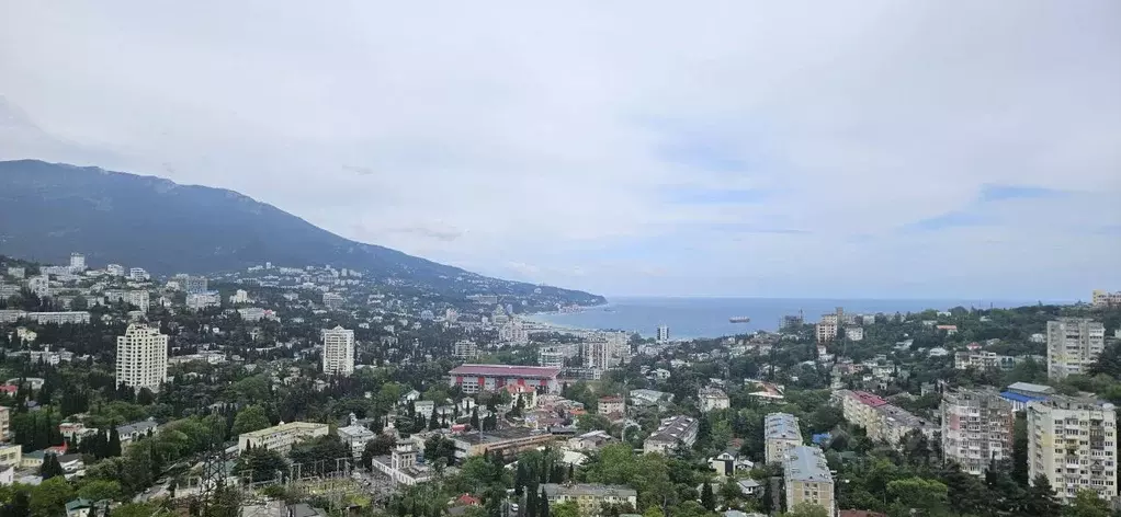 1-к кв. Крым, Ялта ул. Блюхера, 19 (35.3 м) - Фото 1