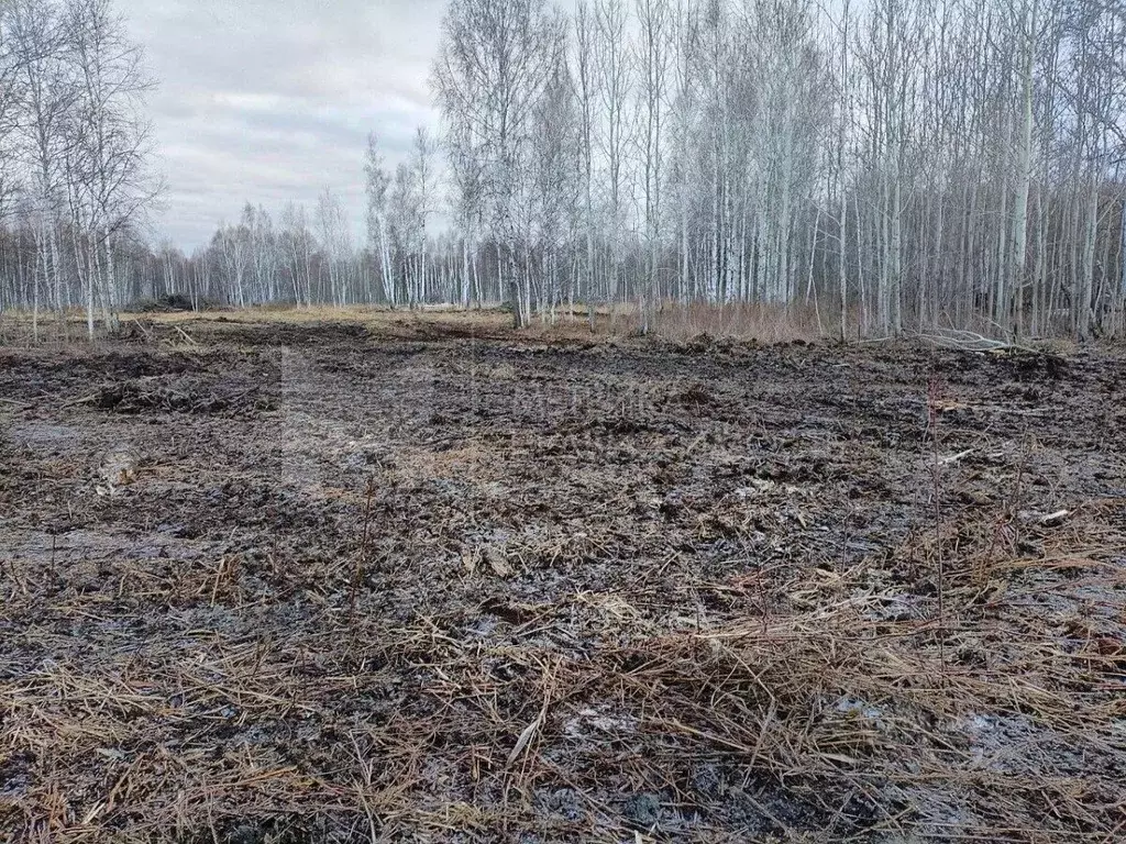 Участок в Тюменская область, Нижнетавдинский муниципальный округ, ... - Фото 1