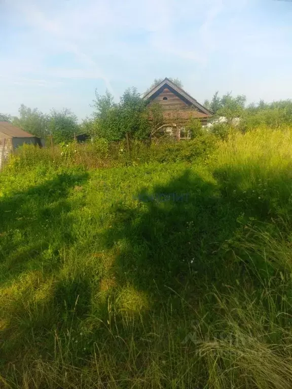 участок в нижегородская область, дальнеконстантиновский муниципальный . - Фото 0