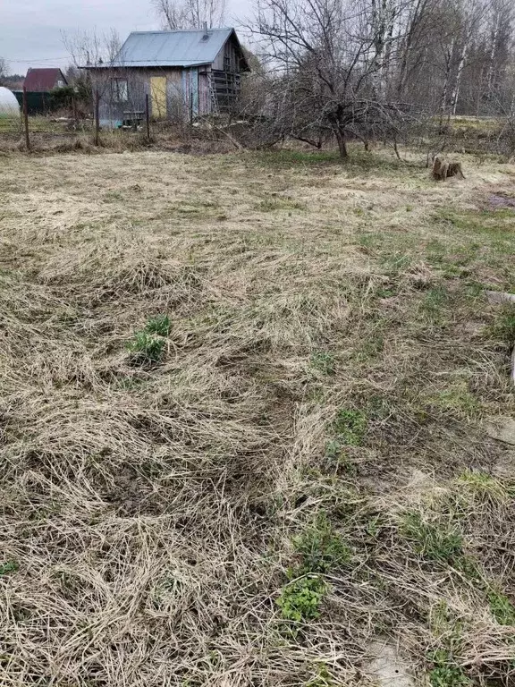 Участок в Московская область, Солнечногорск городской округ, Муравей ... - Фото 1