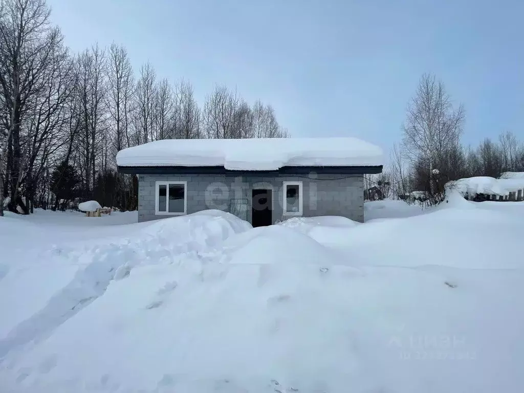 Дом в Пермский край, Пермь Судоремонтная ул., 41А (80 м) - Фото 1