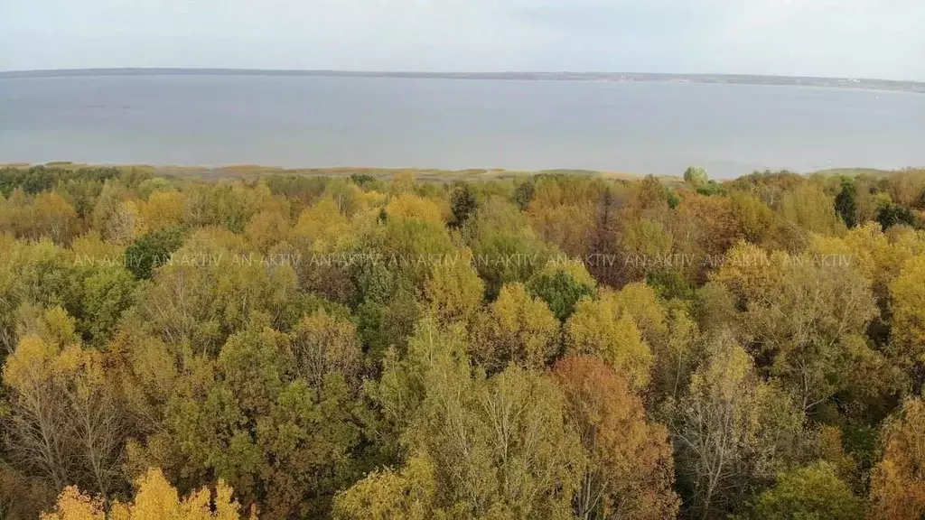 Участок в Ярославская область, Переславль-Залесский городской округ, ... - Фото 1