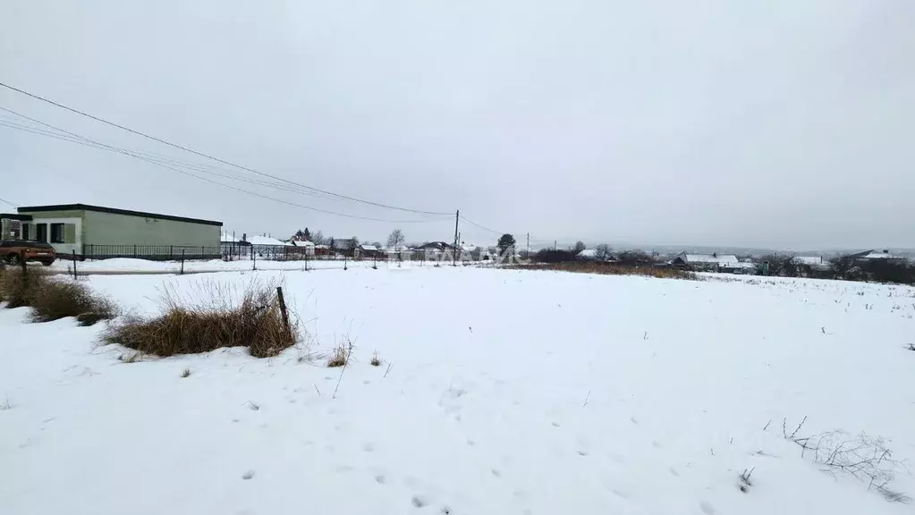 Участок в Воронежская область, Рамонский район, Новоживотинновское ... - Фото 2