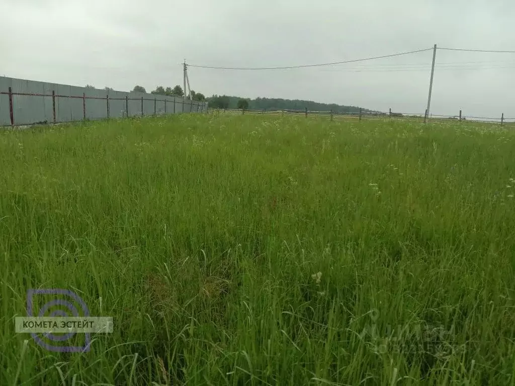 Участок в Калужская область, Тарусский муниципальный округ, Петрищево ... - Фото 2