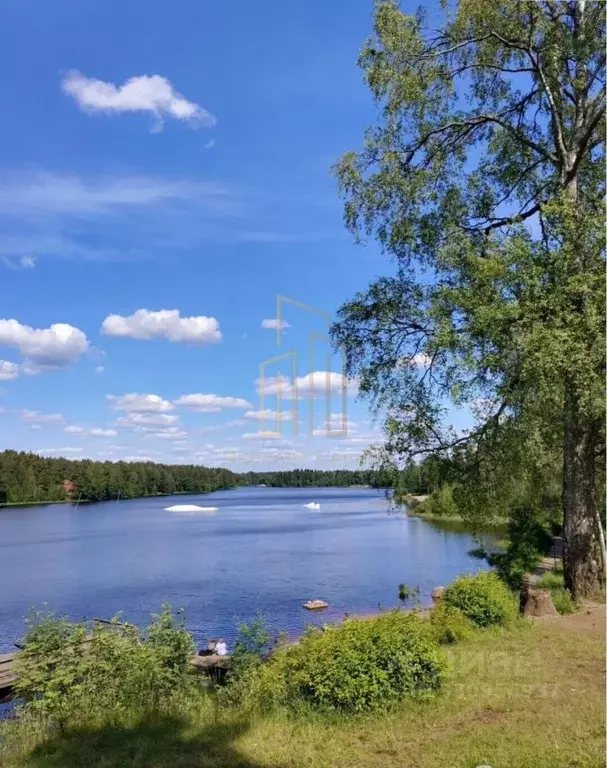 Участок в Ленинградская область, Выборгский район, Рощино городской ... - Фото 1