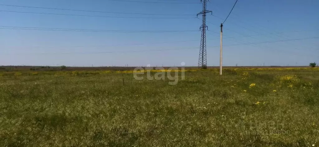 Участок в Крым, Ленинский район, Челядиновское с/пос, с. Челядиново ... - Фото 1